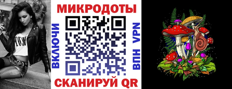 OMG как зайти  даркнет сайт  Онега  Псилоцибиновые грибы мухоморы 